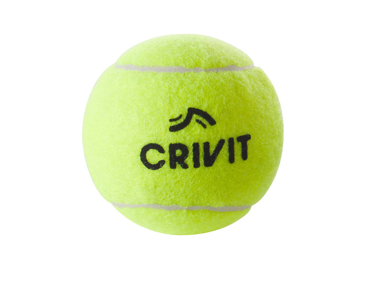 Ga naar volledige schermweergave: CRIVIT Shuttleset, tennisbalset of tafeltennisbalset - afbeelding 6