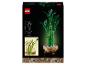 LEGO Botanische Collectie bamboeplant in pot met afmetingen