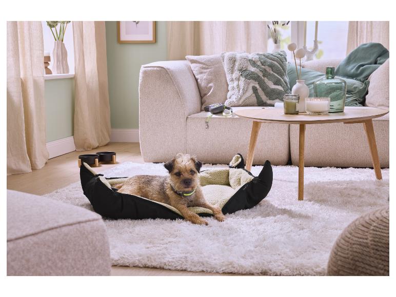 Hond ligt in een hondenmand op een pluizig tapijt in een woonkamer met een bank en salontafel.