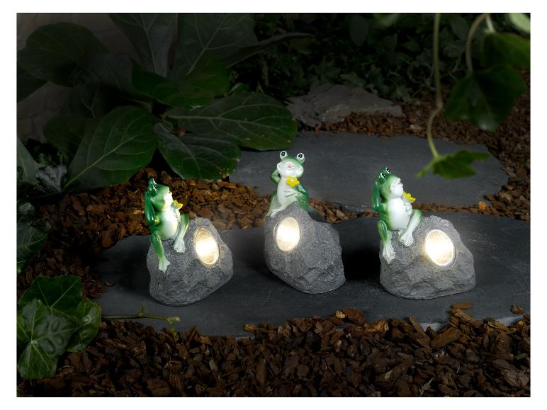 Drie solar-aangedreven kikkerlampen op decoratieve stenen voor de tuin.