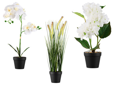 LIVARNO home Kunstplant