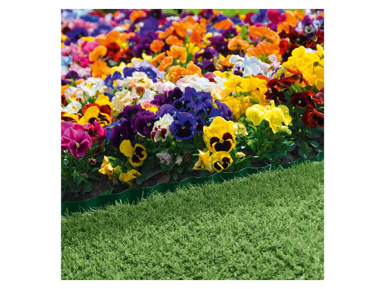 Een groene rand om een bloembed met kleurrijke viooltjes