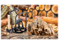 Hout hakken met een hamer en een speciale houder.