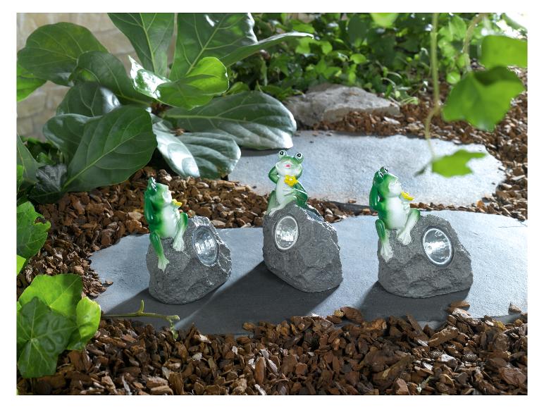 Tuinlampen in de vorm van kikkers.