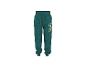 Kinder joggingbroek in teal met dinosauruspatroon en cartoonfiguur.