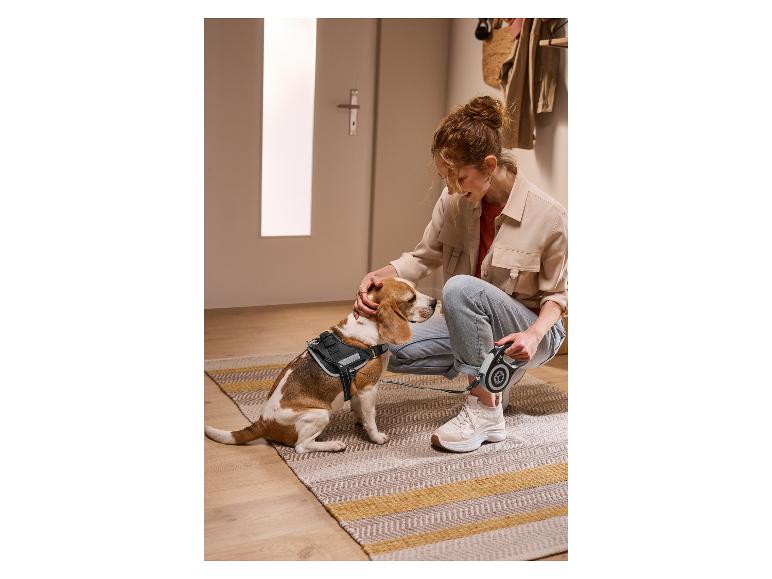 Vrouw aait hond met tuigje en riem, klaar voor een wandeling.