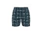 Heren geruite shorts in blauw, wit en grijs