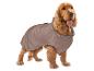 Cocker spaniel in bruine hondenjas met pootafdruk en opschrift