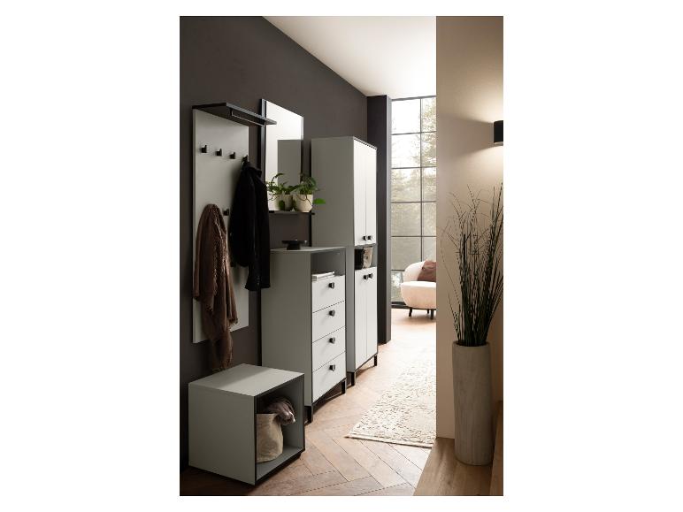 Moderne hal met grijze kasten, kapstok, spiegel en plantendecoratie.