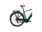 Groene elektrische fiets met bagagedrager en achterwiel
