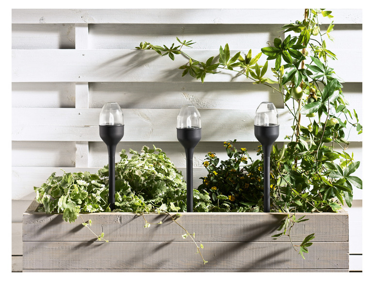 Ga naar volledige schermweergave: LIVARNO home 3 LED-solar-lampen - afbeelding 3