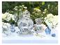 Blauw-wit servies met bloemen- en vogelpatroon, glazen en witte bloemen op een buitentafel.