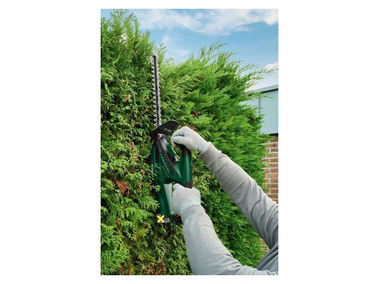 Persoon snoeit een heg met een heggenschaar, met blauwe lucht op de achtergrond.