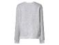 Lichtgrijze dames sweater met lange mouwen, achterkant