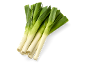 Verse groene prei op een zwarte achtergrond