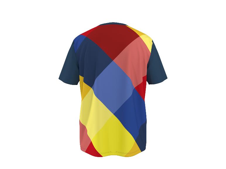 Heren T-shirt met kleurrijk ruitpatroon, achterkant.