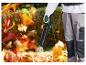 Bladblazer blaast herfstbladeren in een tuin.