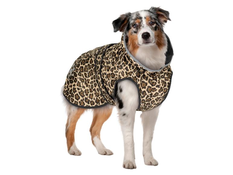 Australische herderhond met luipaardprint hondenjas