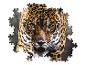 Een close-up van een jaguar in een puzzel.