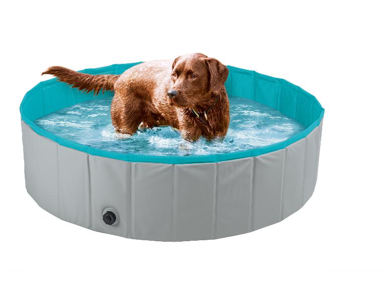 Bruine hond staat in een opvouwbaar hondenbad gevuld met water.