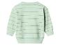 Mintgroen gestreept baby sweatshirt met grijze strepen, achteraanzicht.