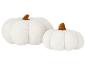 Twee witte, pluizige decoratieve pompoenen met bruine stelen.