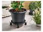 Grote plantenpot op een verrijdbare basis, met andere planten en tuinspullen.