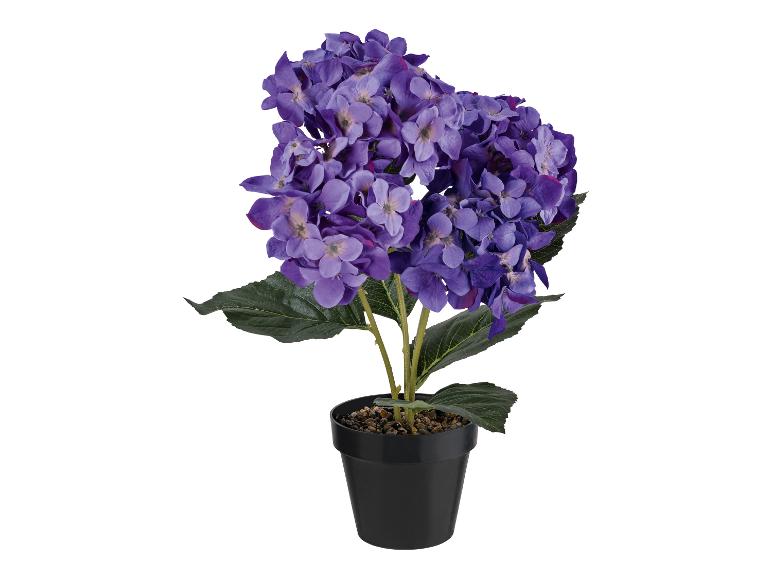 Kunstbloemen in een zwarte pot met paarse hortensia's.