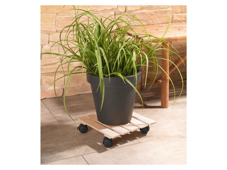 Plant in pot op een houten plantenkar met wielen.