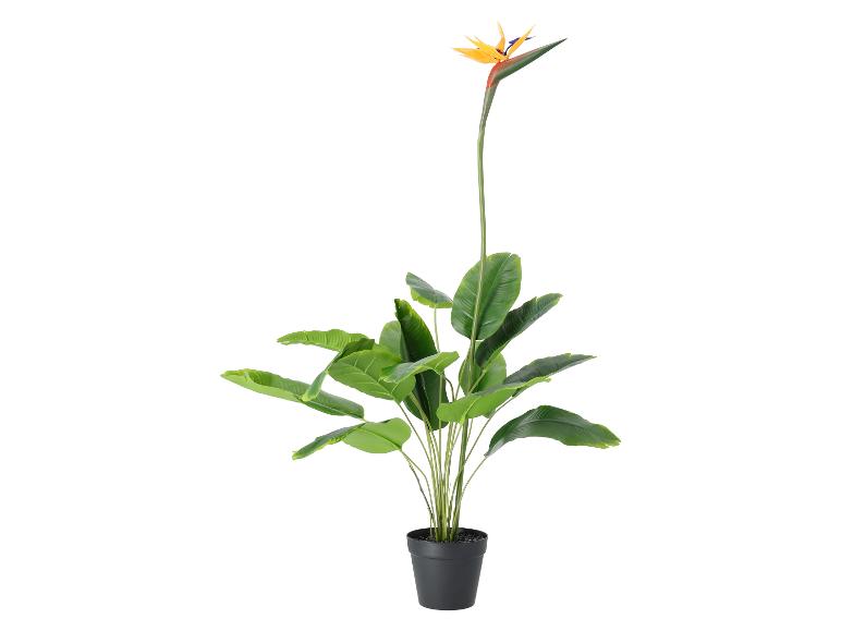 Kunst Strelitzia plant in zwarte pot