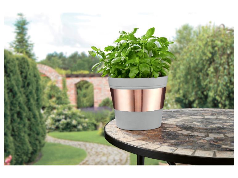 Basilicumplant in een grijze en koperen pot op een mozaïektafel in een tuin.