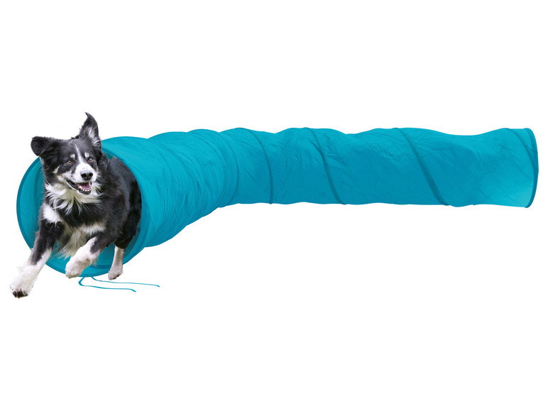 Ga naar volledige schermweergave: zoofari® Honden agility set - afbeelding 9