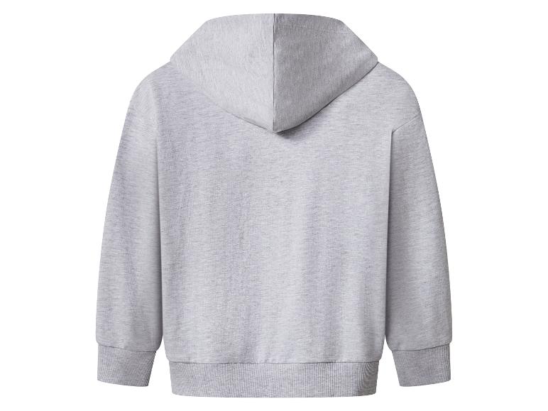 Achteraanzicht van een effen lichtgrijze hoodie met geribde manchetten en zoom.