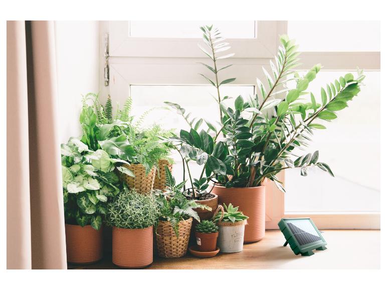 Kamerplanten in potten bij een raam, met een klein zonnepaneel rechts.