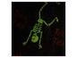Halloween-deken met glow-in-the-dark skelet en 'Trick or Treat' tekst.