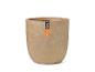 Beige, ovale bloempot met een oranje etiket.