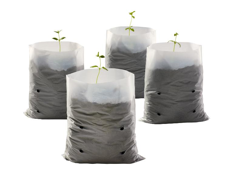 Vier planten in witte plastic groeizakken.