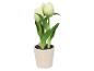 Kunsttulpen in pot, wit