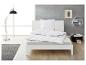 Wit bed met dekbed en kussen, leeslamp en bijzettafel in een moderne slaapkamer.