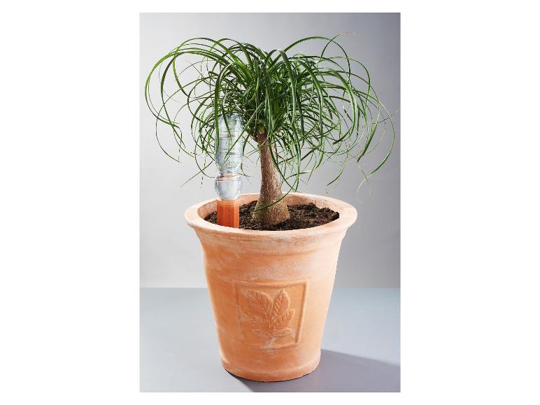 Kamerplant met automatisch bewateringssysteem in een terracotta pot.