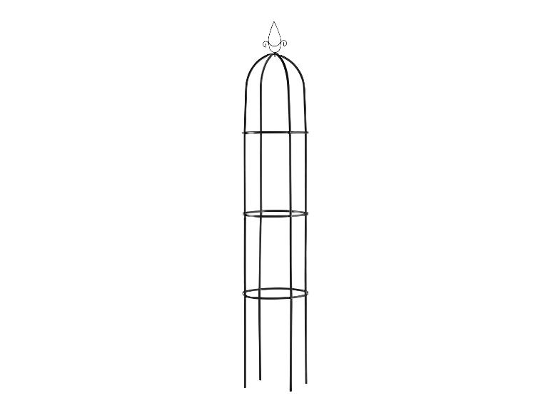 Zwarte metalen tuinobelisk voor klimplanten met decoratieve top.