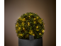 Bolvormige plant met decoratieve solarlampjes in een donkere pot.