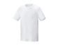 Wit T-shirt met ronde hals
