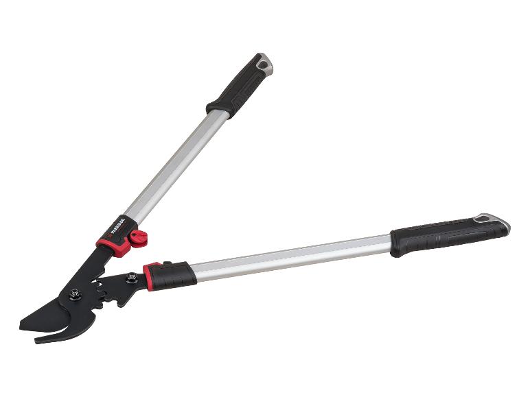 Parkside Performance takkenschaar met zwarte bladen en rode accenten