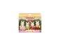 Een Sylvanian Families Chocolade Konijnenfamilie set met vier konijnenfiguren in een doos.