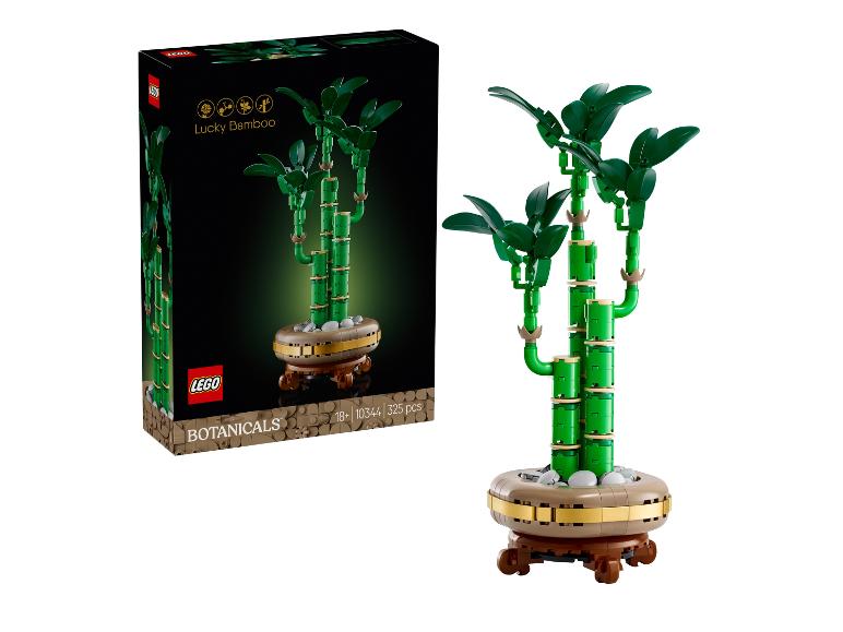 LEGO Botanicals Lucky Bamboo, een groene bouwset van planten in een pot.