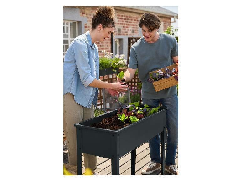 Een stel plant slazaailingen in een verhoogde plantenbak op een balkon.