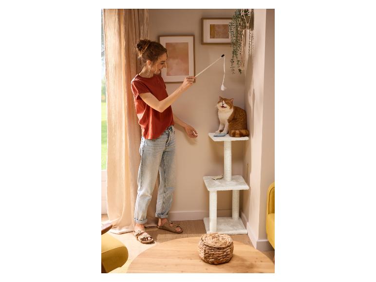 Vrouw speelt met kat bij krabpaal.