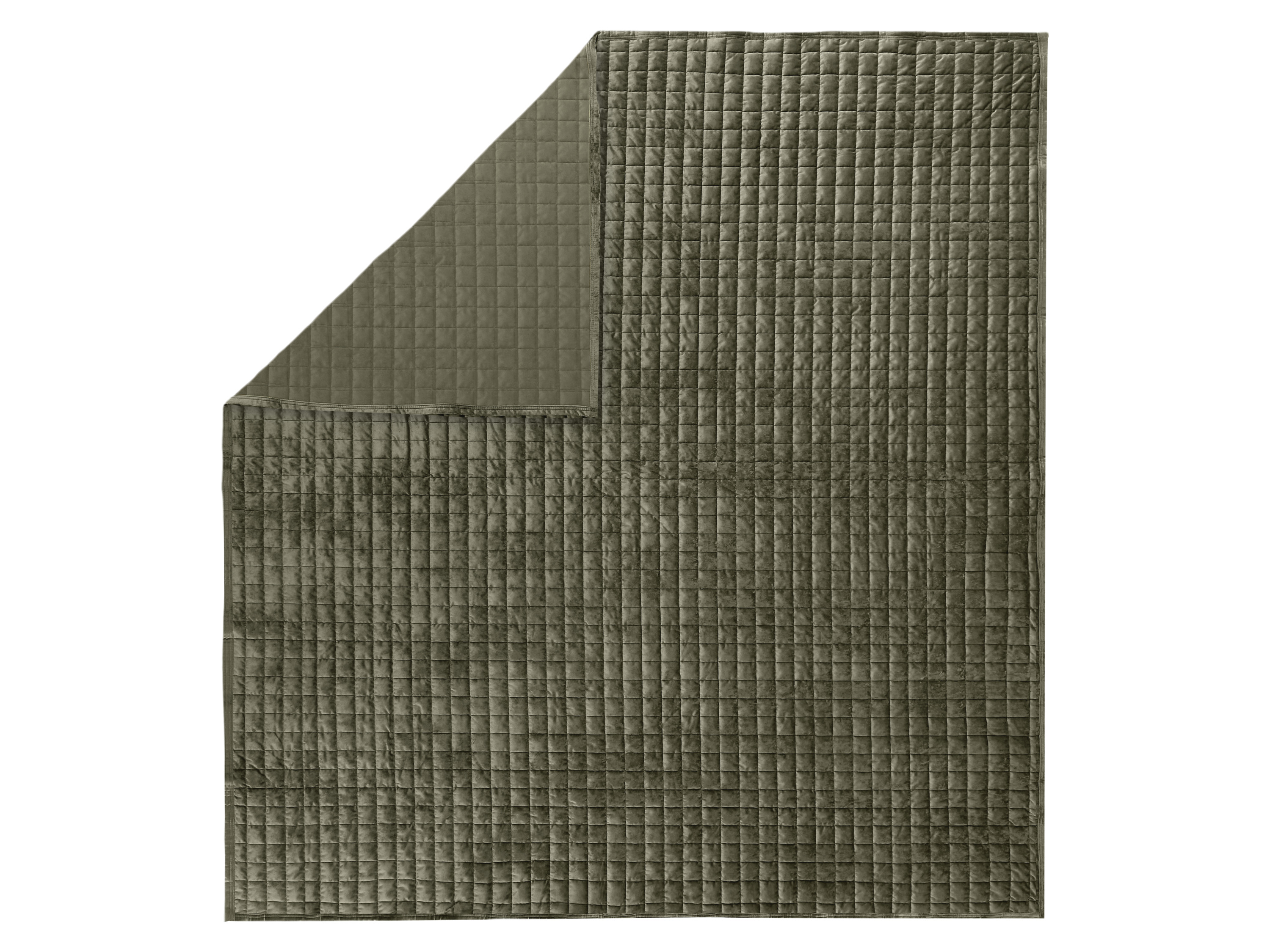 LIVARNO Luxe plaid 220 x 240 cm (groen)
