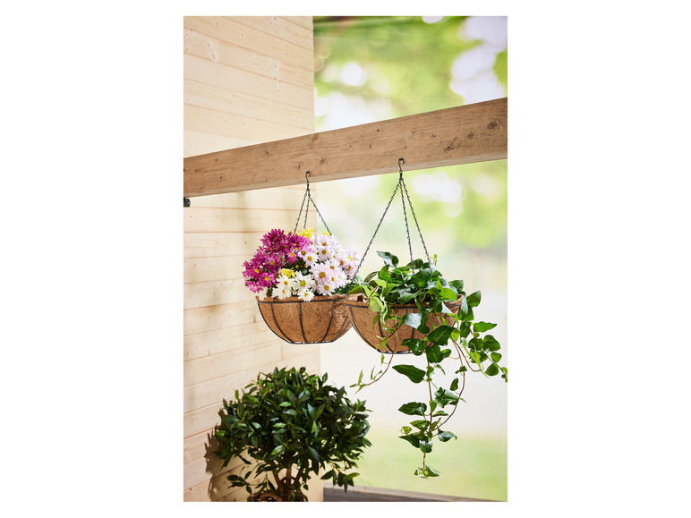 Ga naar volledige schermweergave: LIVARNO home Hangmanden of wandplantenbak - afbeelding 4